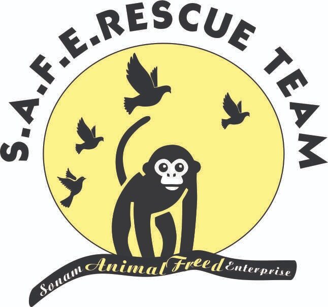 Monkey catcher in delhi | Safe Rescue Team | monkey catcher services