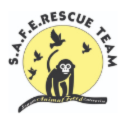 Safe Rescue Team